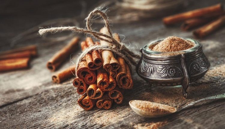 دارچین در بارداری