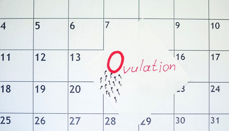 علائم تخمک گذاری