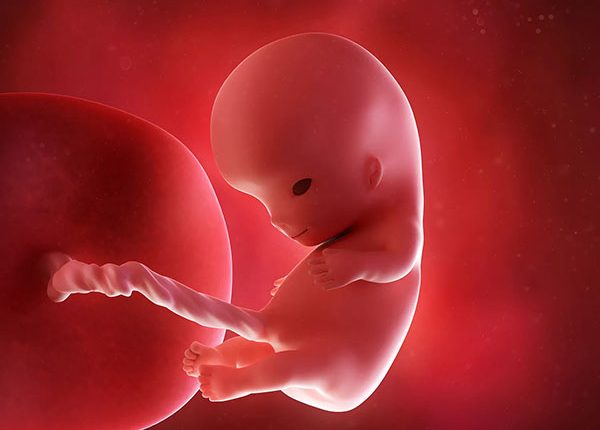 سونوگرافی تعیین سن بارداری