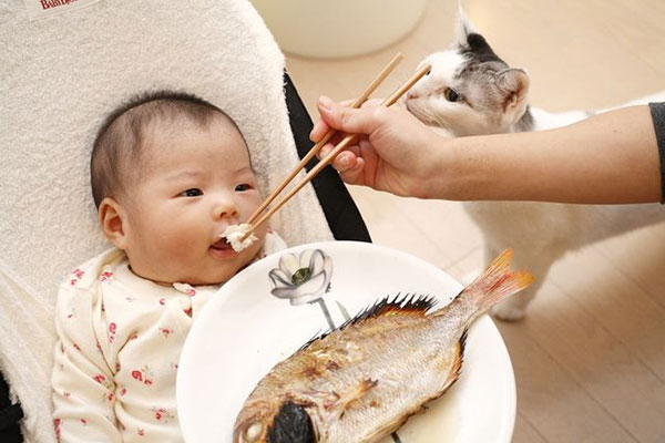 ماهی دادن به نوزاد