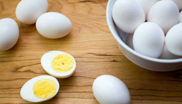  تخم مرغ در بارداری