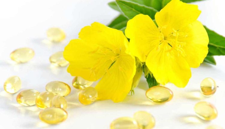 روغن گل مغربی در بارداری